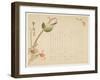 Japanese Nightingale Perched on a Branch-Suit?-Framed Giclee Print