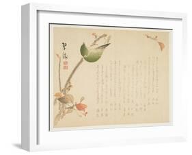 Japanese Nightingale Perched on a Branch-Suit?-Framed Giclee Print