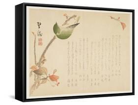 Japanese Nightingale Perched on a Branch-Suit?-Framed Stretched Canvas