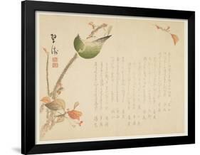 Japanese Nightingale Perched on a Branch-Suit?-Framed Giclee Print