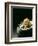 Japanese Noodle Soup (Miso Udon) with Fried Ginger-Frank Wieder-Framed Photographic Print