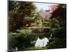 Japanese Ornamental Garden in Blossom-Kusakabe Kimbei-Mounted Giclee Print