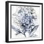 Japanese Peony II-Isabelle Z-Framed Art Print