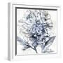 Japanese Peony II-Isabelle Z-Framed Art Print