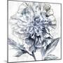 Japanese Peony II-Isabelle Z-Mounted Art Print