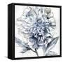 Japanese Peony II-Isabelle Z-Framed Stretched Canvas