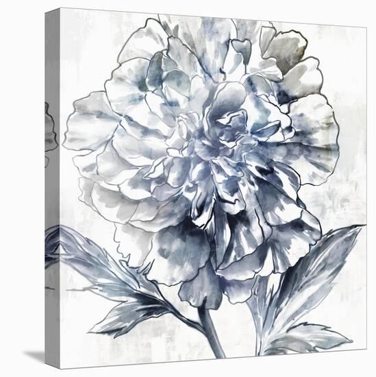 Japanese Peony II-Isabelle Z-Stretched Canvas