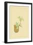 Japanese Peppers-Sofu Teshigahara-Framed Art Print