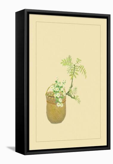 Japanese Peppers-Sofu Teshigahara-Framed Stretched Canvas