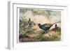 Japanese Pheasants, 1865-Joseph Wolf-Framed Giclee Print