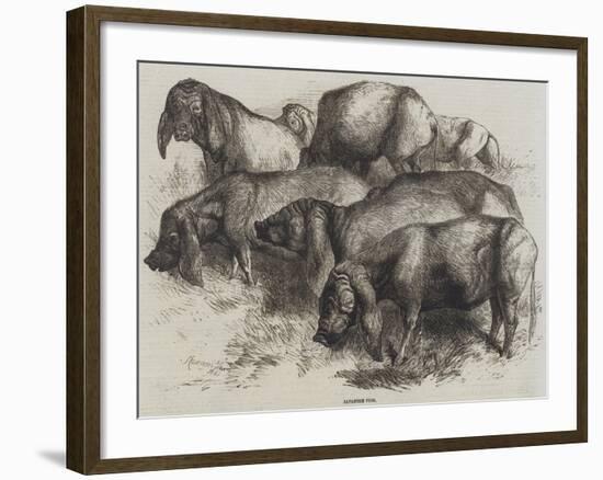 Japanese Pigs-Harrison William Weir-Framed Giclee Print