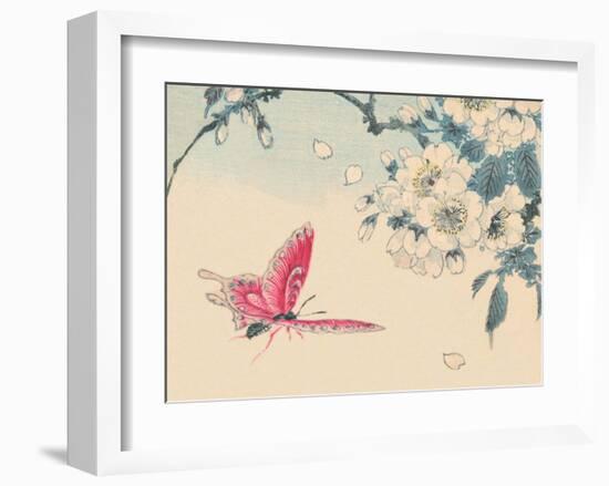 Japanese Pink Butterfly-Haruna Kinzan-Framed Art Print