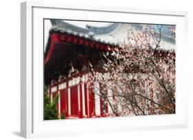Japanese Plum Tree Blossom-George Oze-Framed Photographic Print