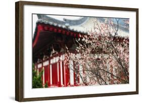 Japanese Plum Tree Blossom-George Oze-Framed Photographic Print