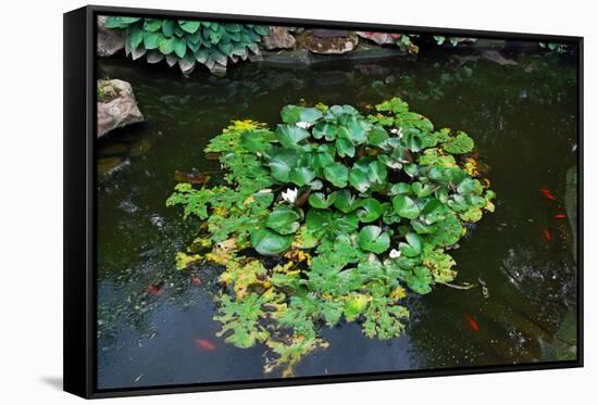 Japanese Pond-Fyletto-Framed Stretched Canvas