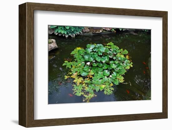 Japanese Pond-Fyletto-Framed Photographic Print