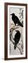 Japanese Print: Crow-Kawanabe Kyosai-Framed Giclee Print