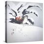 Japanese Print (Snow Bird)-null-Stretched Canvas