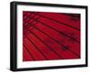 Japanese Red Umbrella, Japan-Rex Butcher-Framed Photographic Print