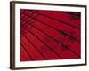 Japanese Red Umbrella, Japan-Rex Butcher-Framed Photographic Print