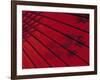 Japanese Red Umbrella, Japan-Rex Butcher-Framed Photographic Print