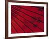 Japanese Red Umbrella, Japan-Rex Butcher-Framed Photographic Print