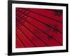 Japanese Red Umbrella, Japan-Rex Butcher-Framed Photographic Print