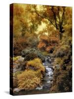 Japanese Rock Garden 1-Jessica Jenney-Stretched Canvas