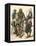 Japanese Samurai Warriors in Full Armor-null-Framed Stretched Canvas