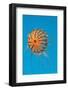 Japanese Sea Nettle-Hal Beral-Framed Photographic Print