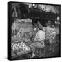 Japanese Shoe Shop, Early 20th Century-null-Framed Stretched Canvas