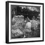 Japanese Shoe Shop, Early 20th Century-null-Framed Photographic Print