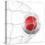 Japanese Soccer Ball in a Net-zentilia-Stretched Canvas