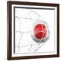 Japanese Soccer Ball in a Net-zentilia-Framed Art Print