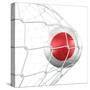 Japanese Soccer Ball in a Net-zentilia-Stretched Canvas