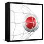 Japanese Soccer Ball in a Net-zentilia-Framed Stretched Canvas