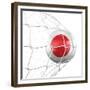 Japanese Soccer Ball in a Net-zentilia-Framed Premium Giclee Print