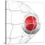 Japanese Soccer Ball in a Net-zentilia-Stretched Canvas