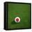 Japanese Soccerball Lying on Grass-zentilia-Framed Stretched Canvas