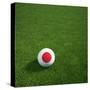 Japanese Soccerball Lying on Grass-zentilia-Stretched Canvas