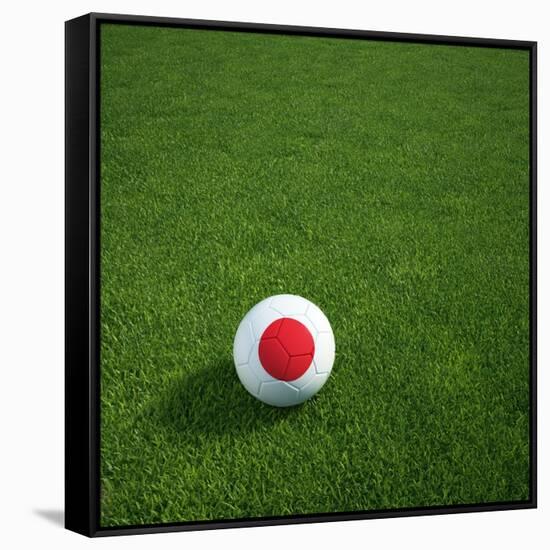 Japanese Soccerball Lying on Grass-zentilia-Framed Stretched Canvas