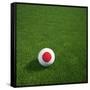 Japanese Soccerball Lying on Grass-zentilia-Framed Stretched Canvas