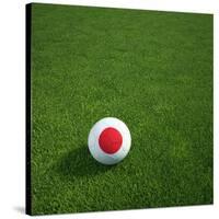 Japanese Soccerball Lying on Grass-zentilia-Stretched Canvas