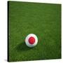 Japanese Soccerball Lying on Grass-zentilia-Stretched Canvas