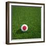 Japanese Soccerball Lying on Grass-zentilia-Framed Art Print