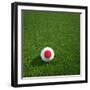 Japanese Soccerball Lying on Grass-zentilia-Framed Art Print