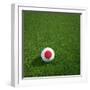 Japanese Soccerball Lying on Grass-zentilia-Framed Art Print