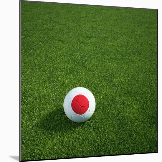 Japanese Soccerball Lying on Grass-zentilia-Mounted Art Print