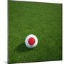 Japanese Soccerball Lying on Grass-zentilia-Mounted Art Print