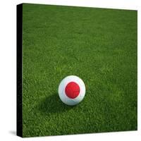 Japanese Soccerball Lying on Grass-zentilia-Stretched Canvas